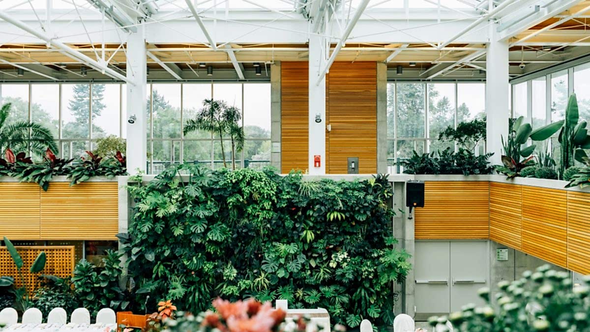 office plants and living walls
