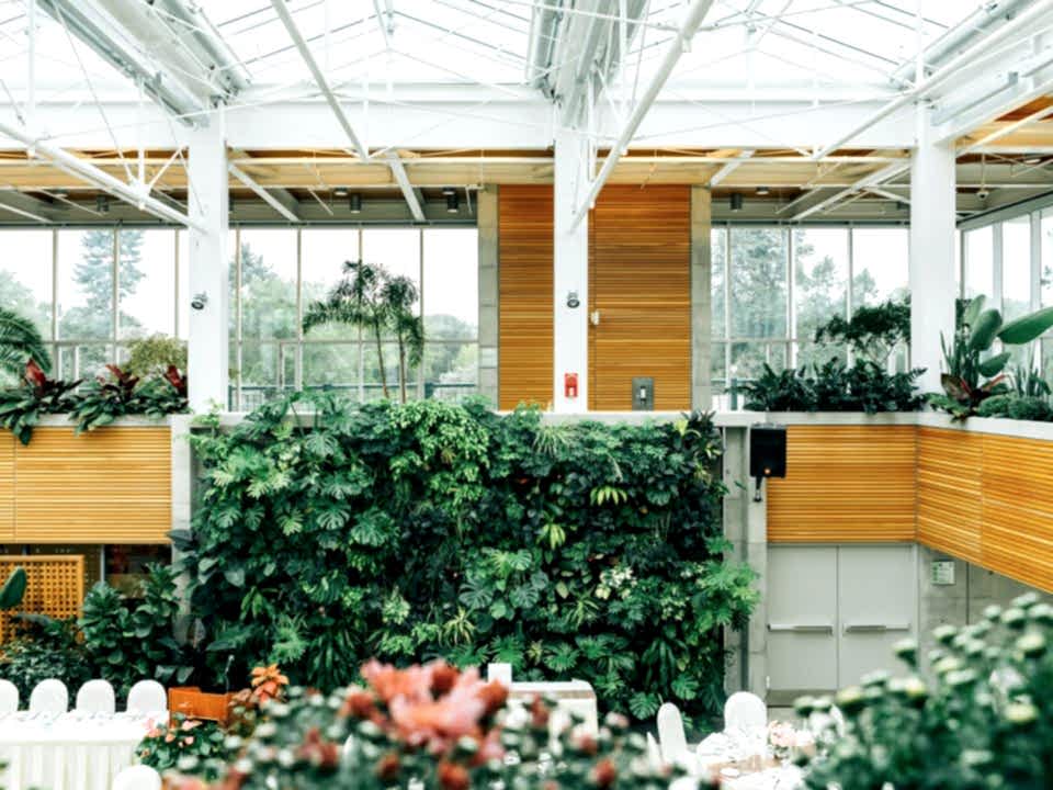 office plants and living walls
