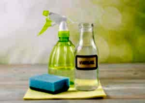 Vinegar Cleaner